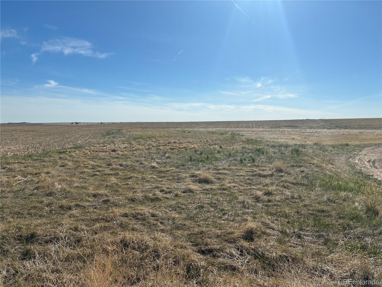 Wolf Creek