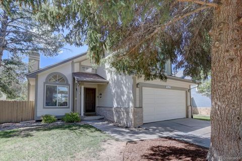 11629 Masonville Drive Parker CO 80134