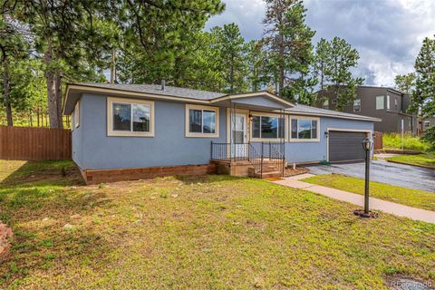 303 S Baldwin Street Woodland Park Co 80863