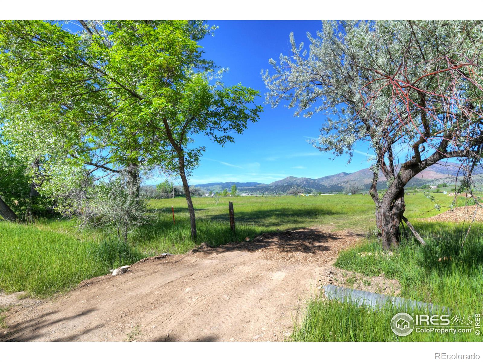 9231 Tollgate Drive