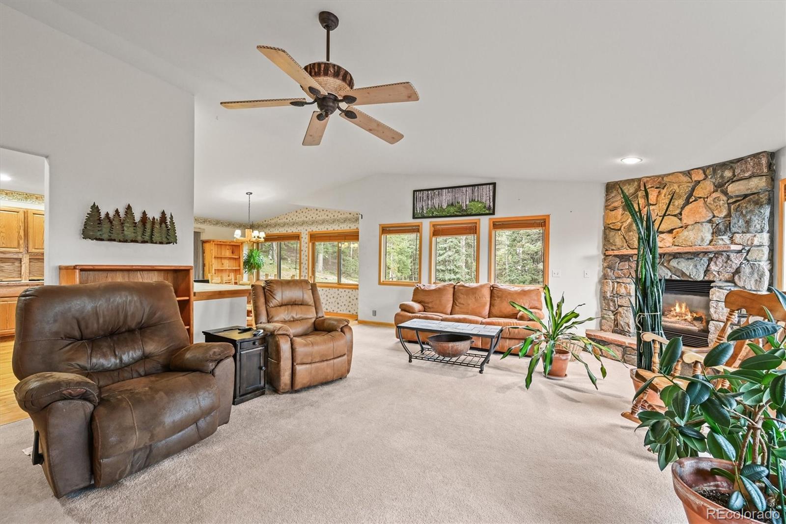 29825 Kennedy Gulch Road