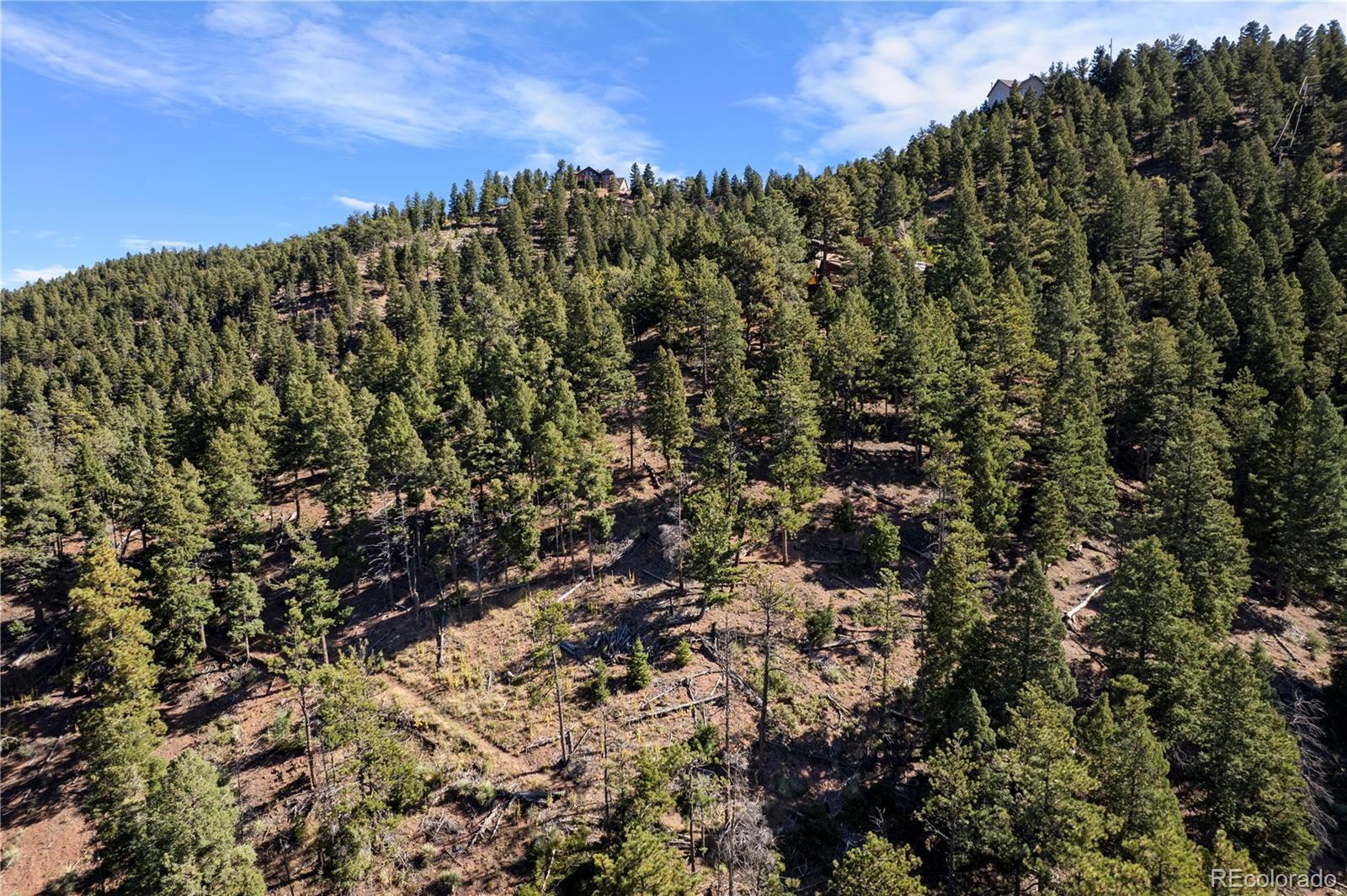 13126 Andiron Way, Larkspur, CO, 80118 13126 Andiron Way