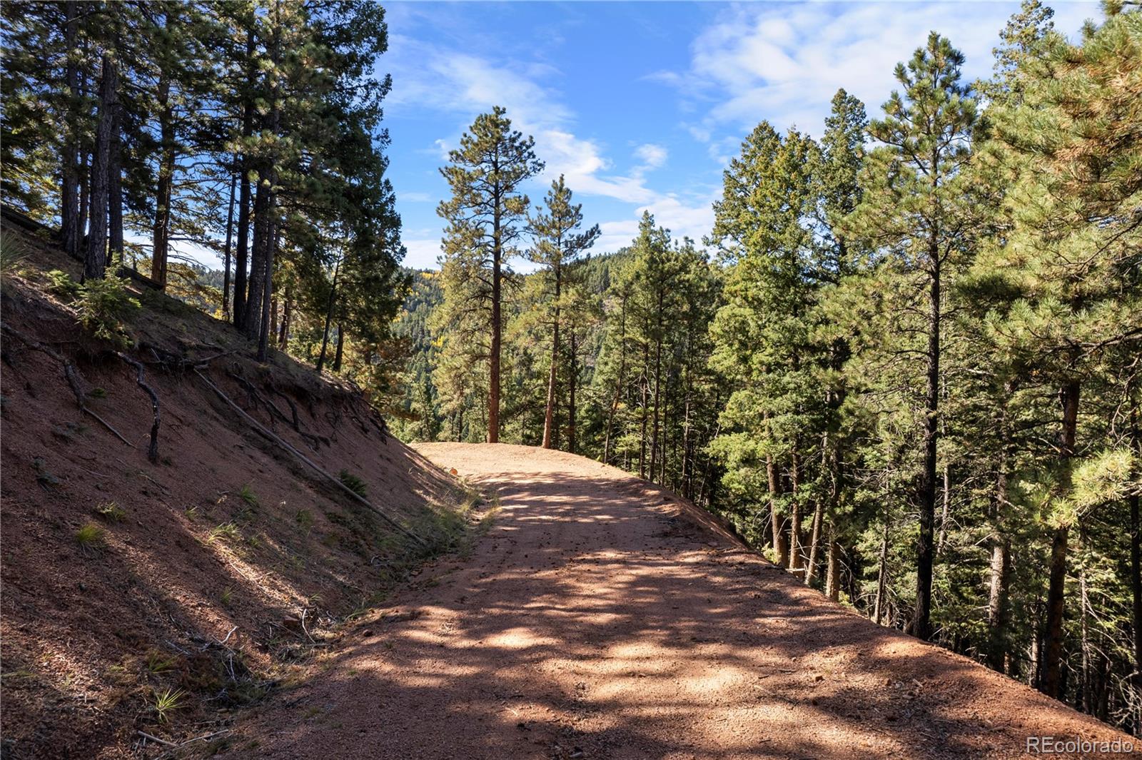 13126 Andiron Way, Larkspur, CO, 80118 13126 Andiron Way