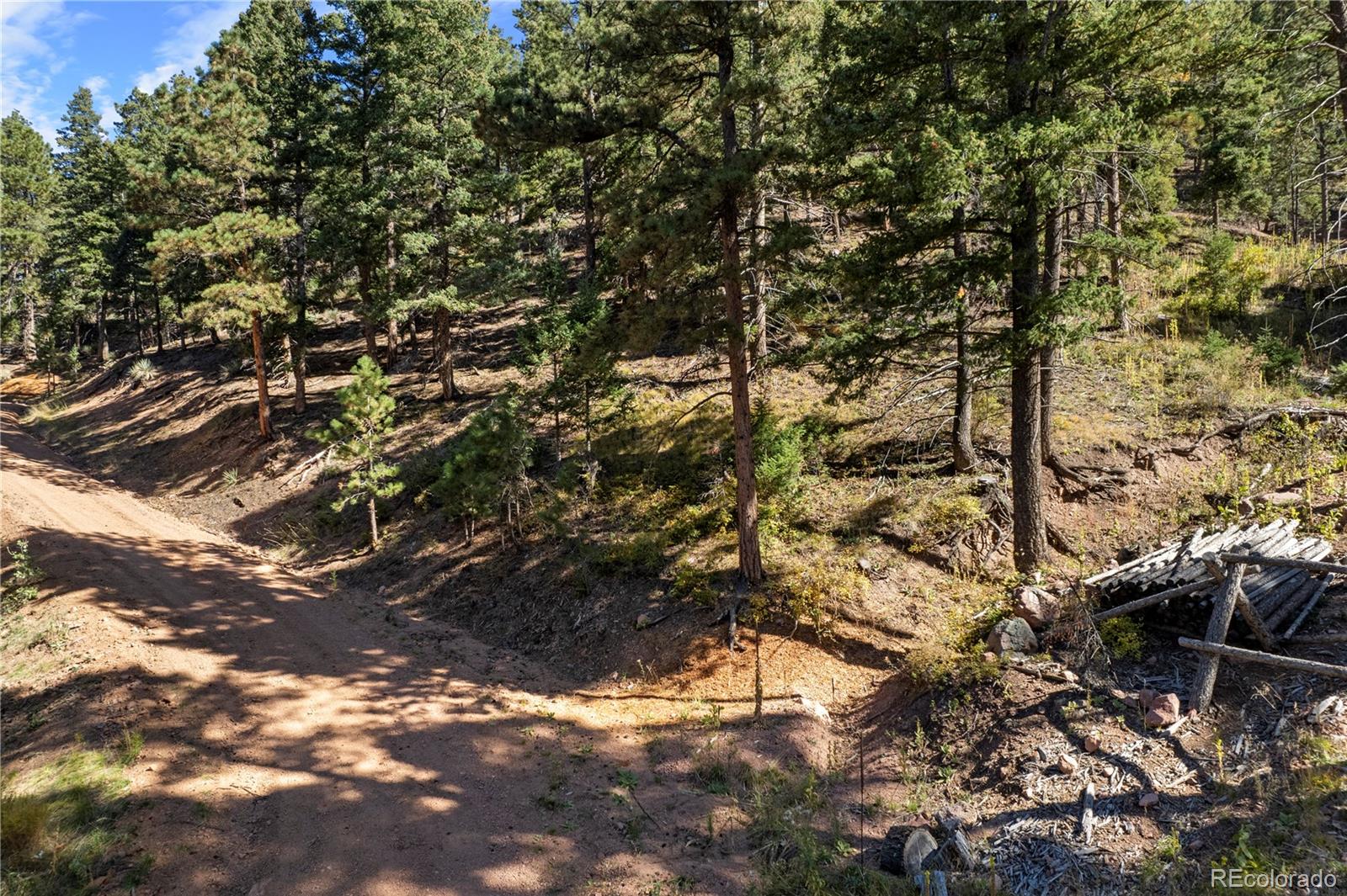 13126 Andiron Way, Larkspur, CO, 80118 13126 Andiron Way