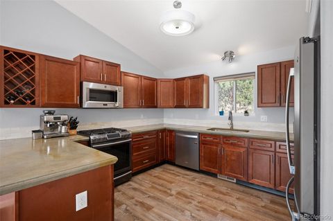 560 Gunsmoke Drive Bailey CO 80421