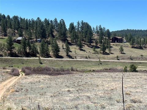 00 Highway 24 Florissant CO 80816