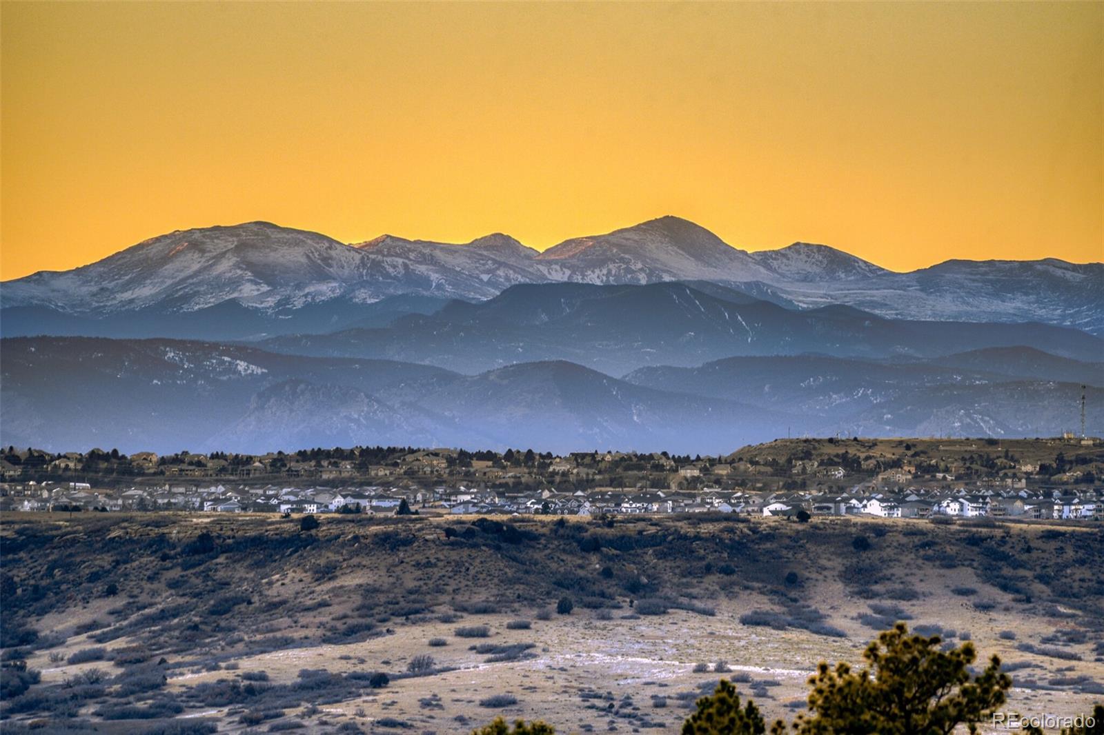 8377 Burning Tree Drive