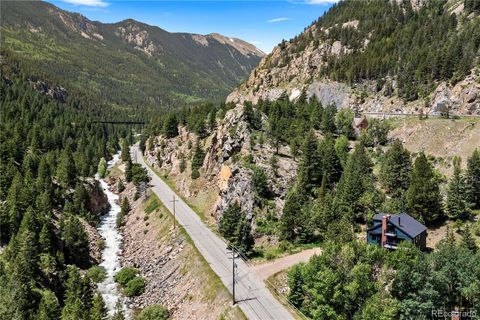205 Loop Drive Georgetown CO 80444