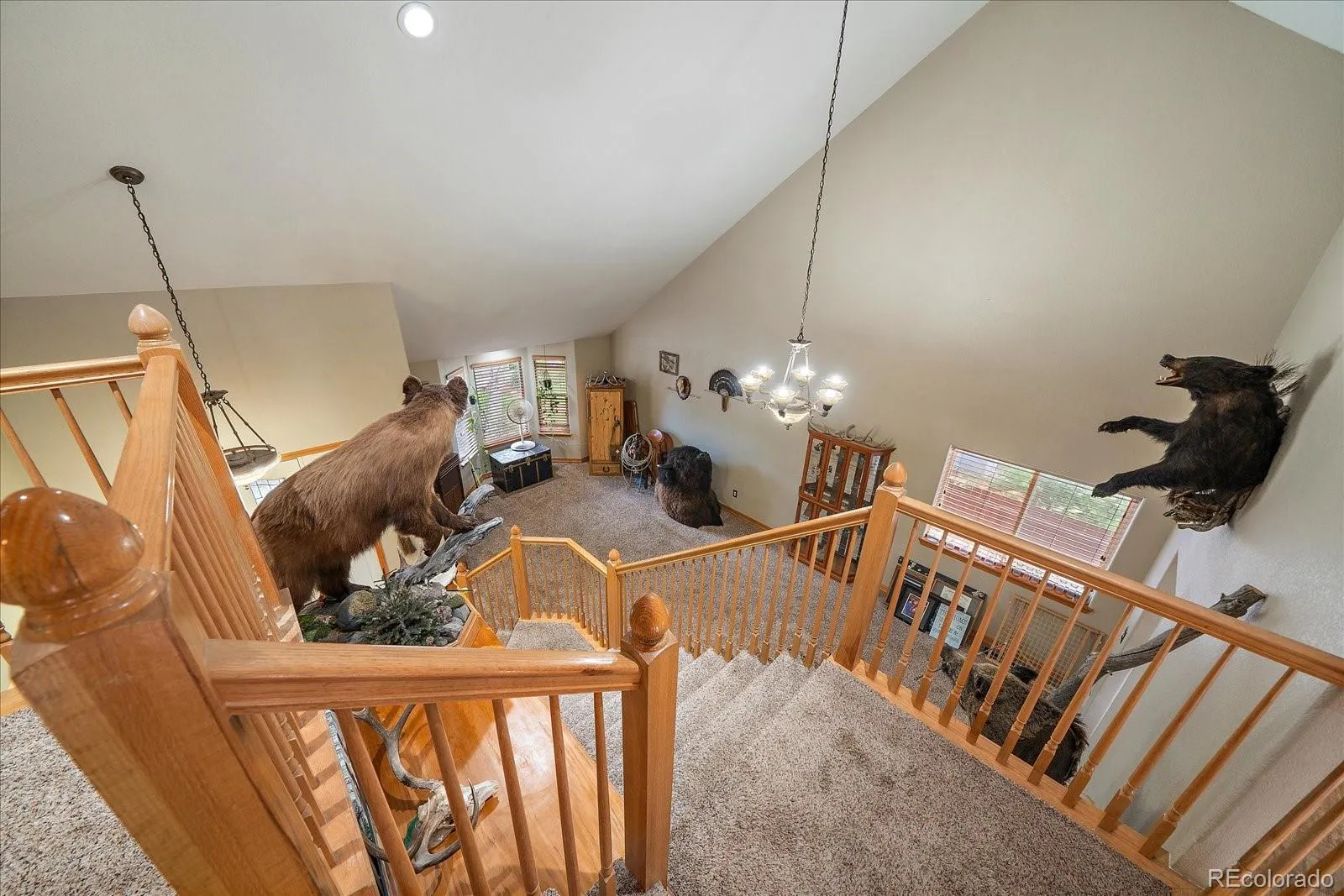 Frederick, Colorado 80504, United States, 6 Bedrooms Bedrooms, ,4 BathroomsBathrooms,Residential,Active,193905