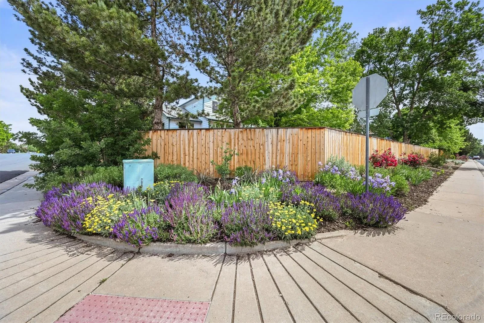 Broomfield, Colorado 80020, United States, 3 Bedrooms Bedrooms, ,3 BathroomsBathrooms,Residential,Active,146200