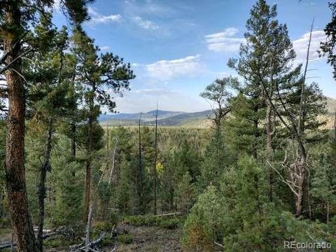 unknown Conifer CO 80433