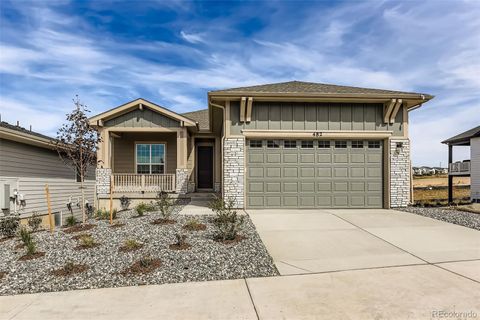 482 Basin Daisy Street Castle Rock CO 80104