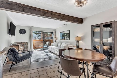 1901 Clear Creek Drive E102 Georgetown CO 80444