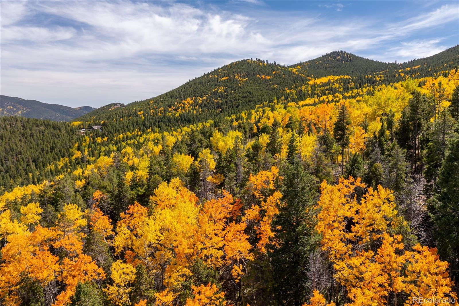 003 Seldom Seen Road