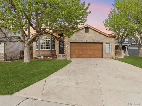 7093 Leopard Drive Lone Tree CO 80124