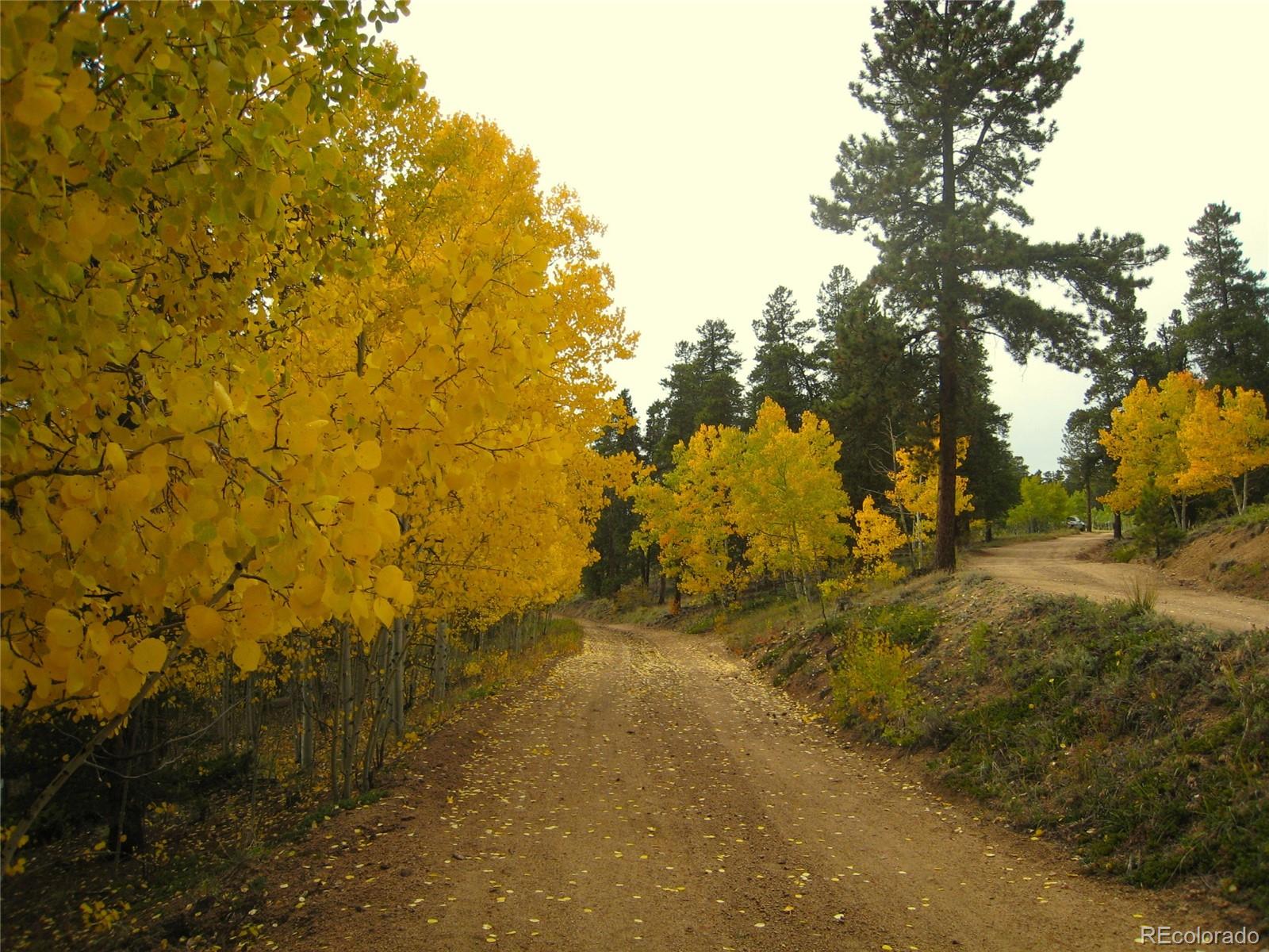 429 Road P53