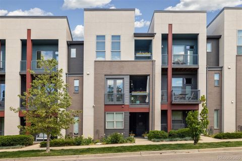 538 S Upham Street Lakewood CO 80226
