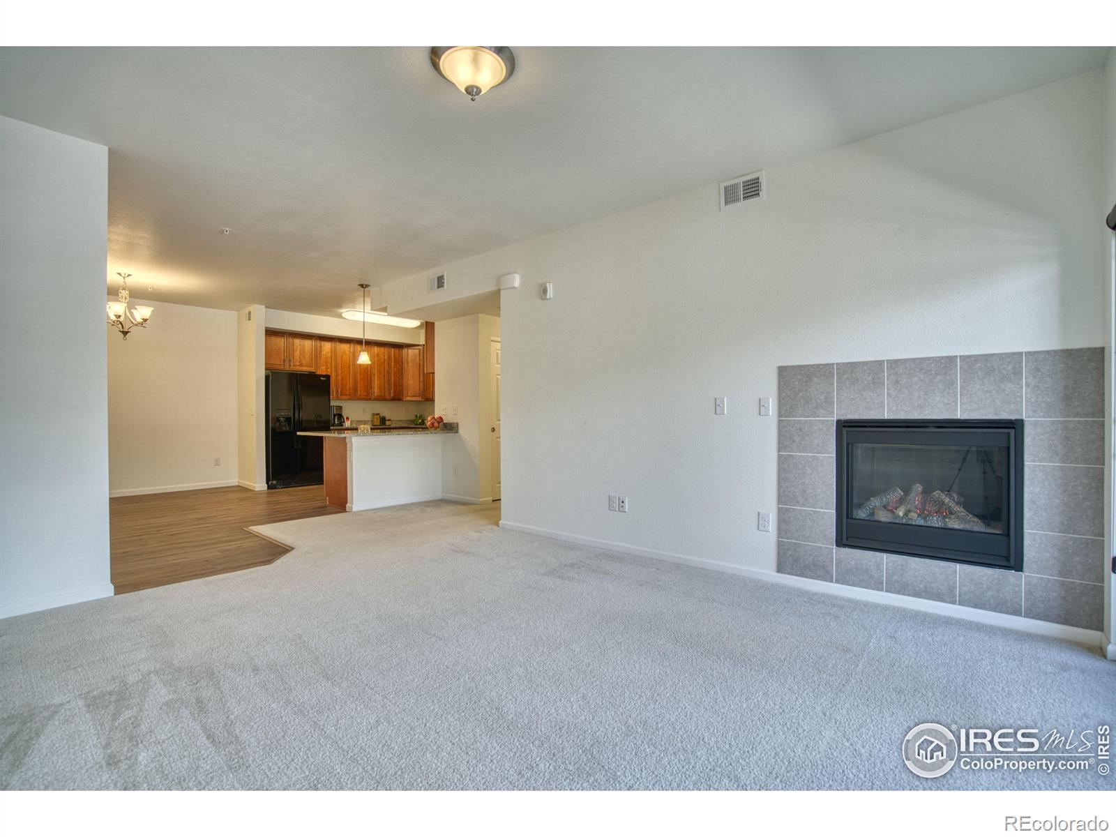 804 Summer Hawk Drive 203