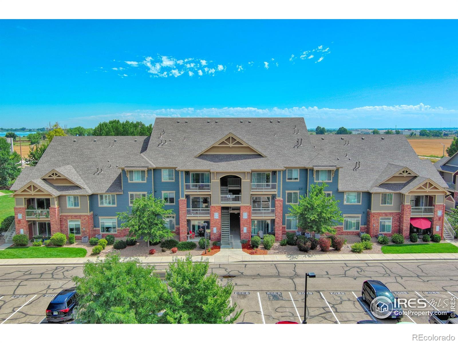 804 Summer Hawk Drive 203