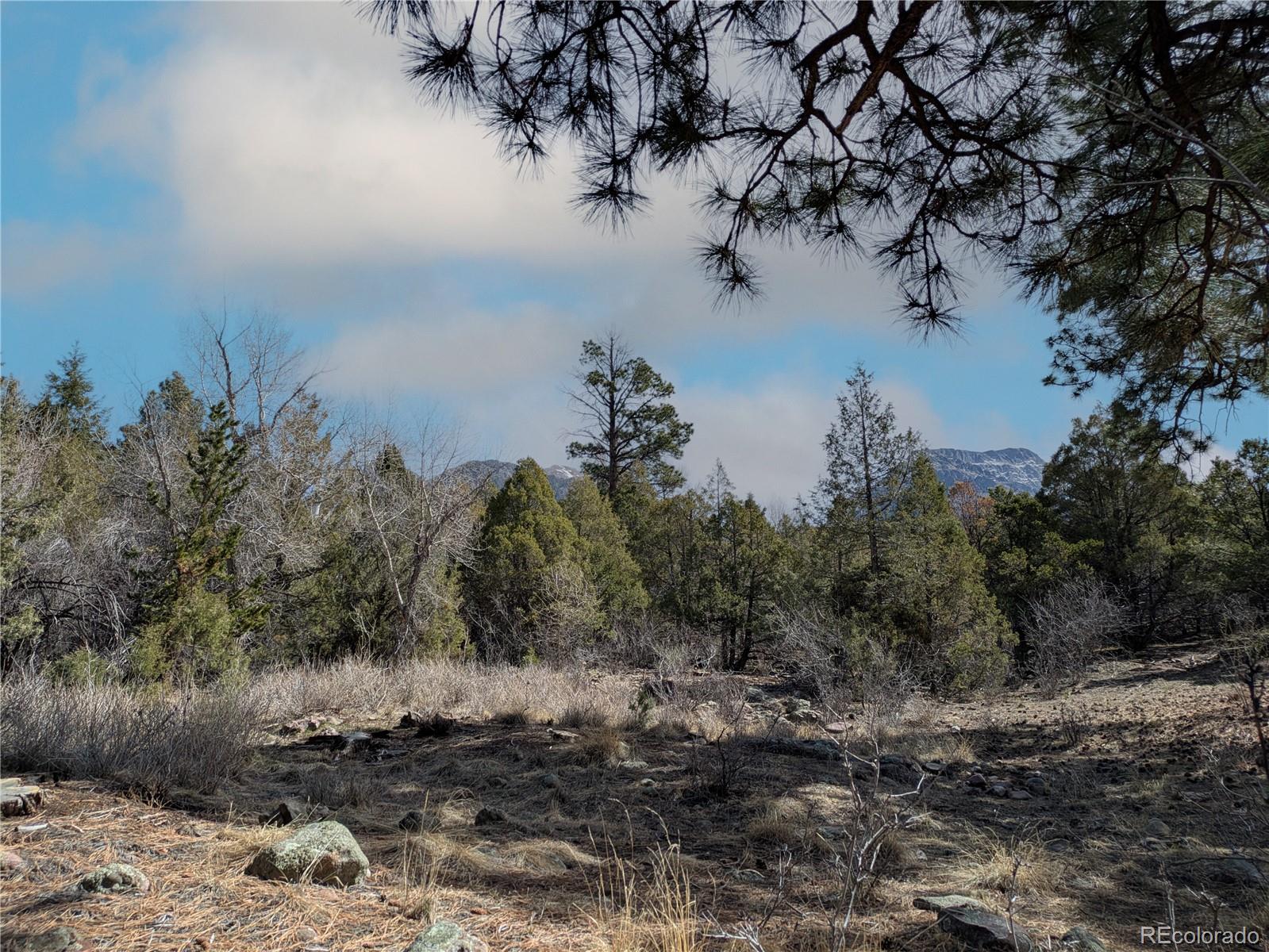 446 Arrowhead Overlook