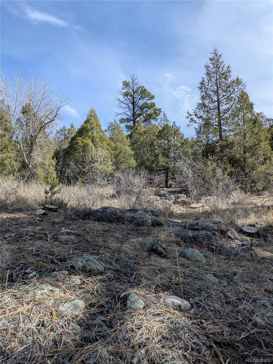 446 Arrowhead Overlook