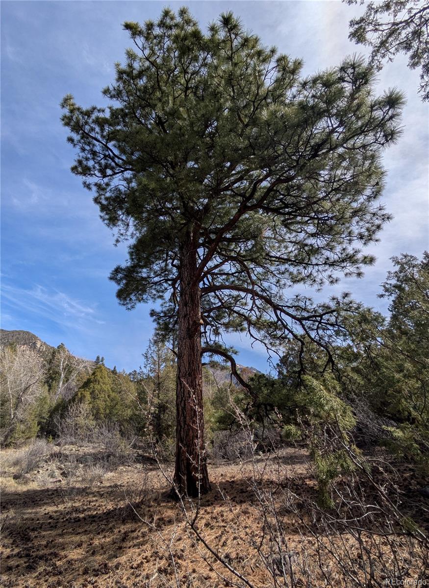 446 Arrowhead Overlook