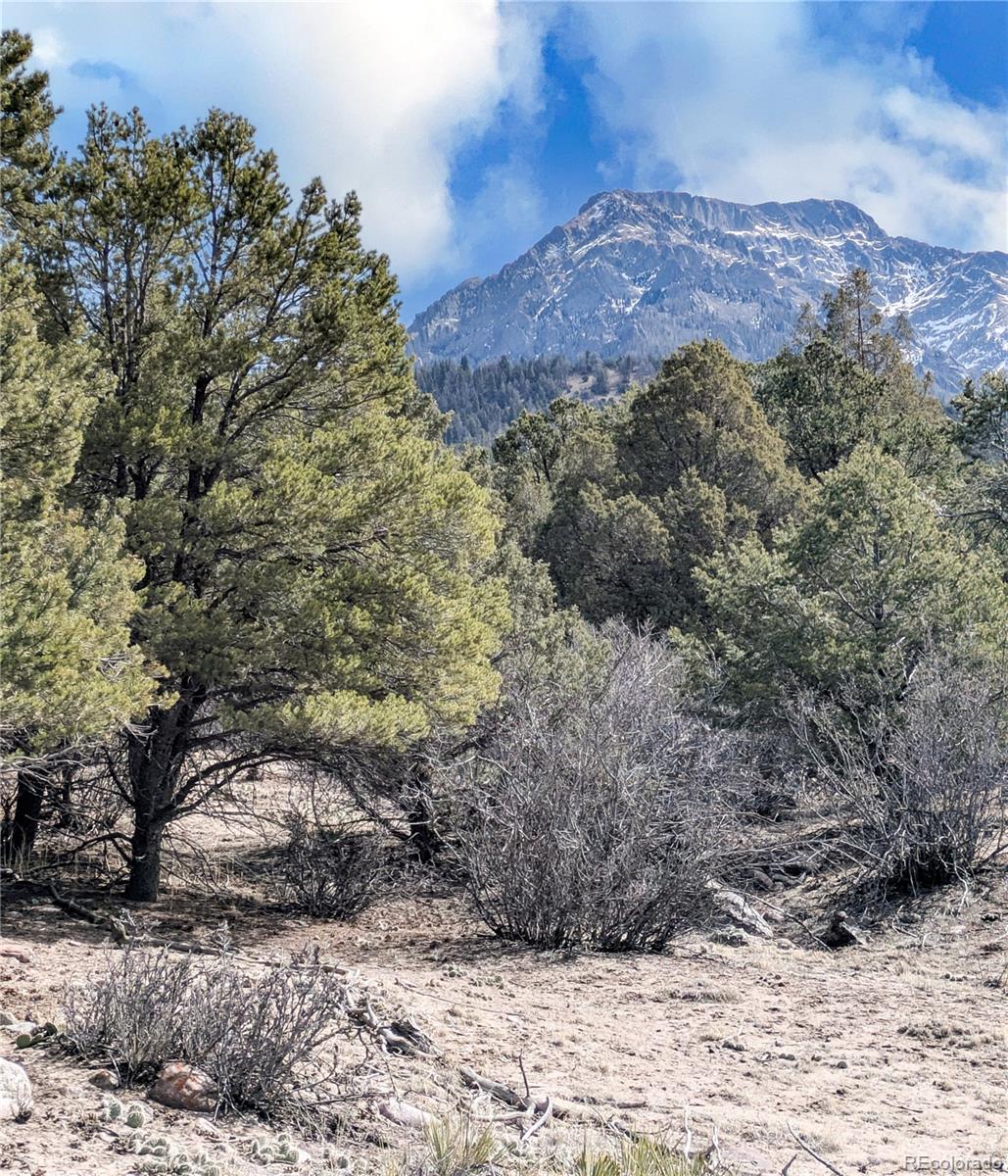 446 Arrowhead Overlook