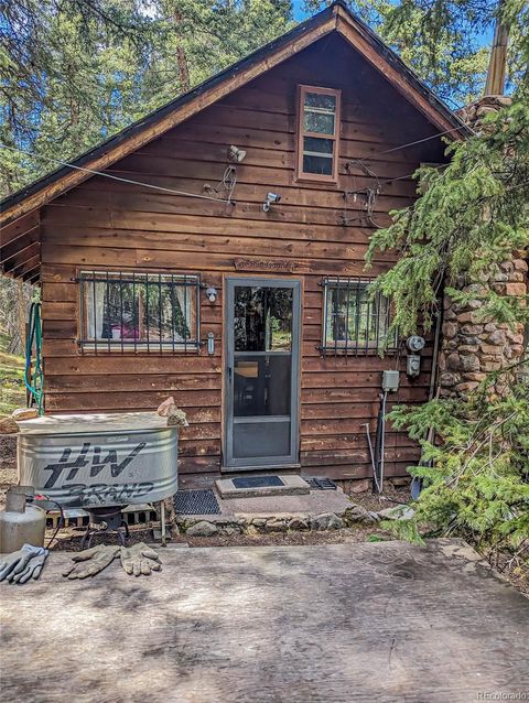 108 Usfs 383, Divide, CO 80814 - #: 4786956