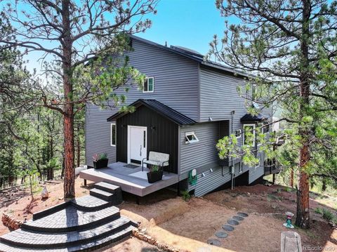 16596 Ouray Road Pine CO 80470