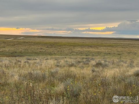 18807 County Road P Road Kit Carson CO 80825