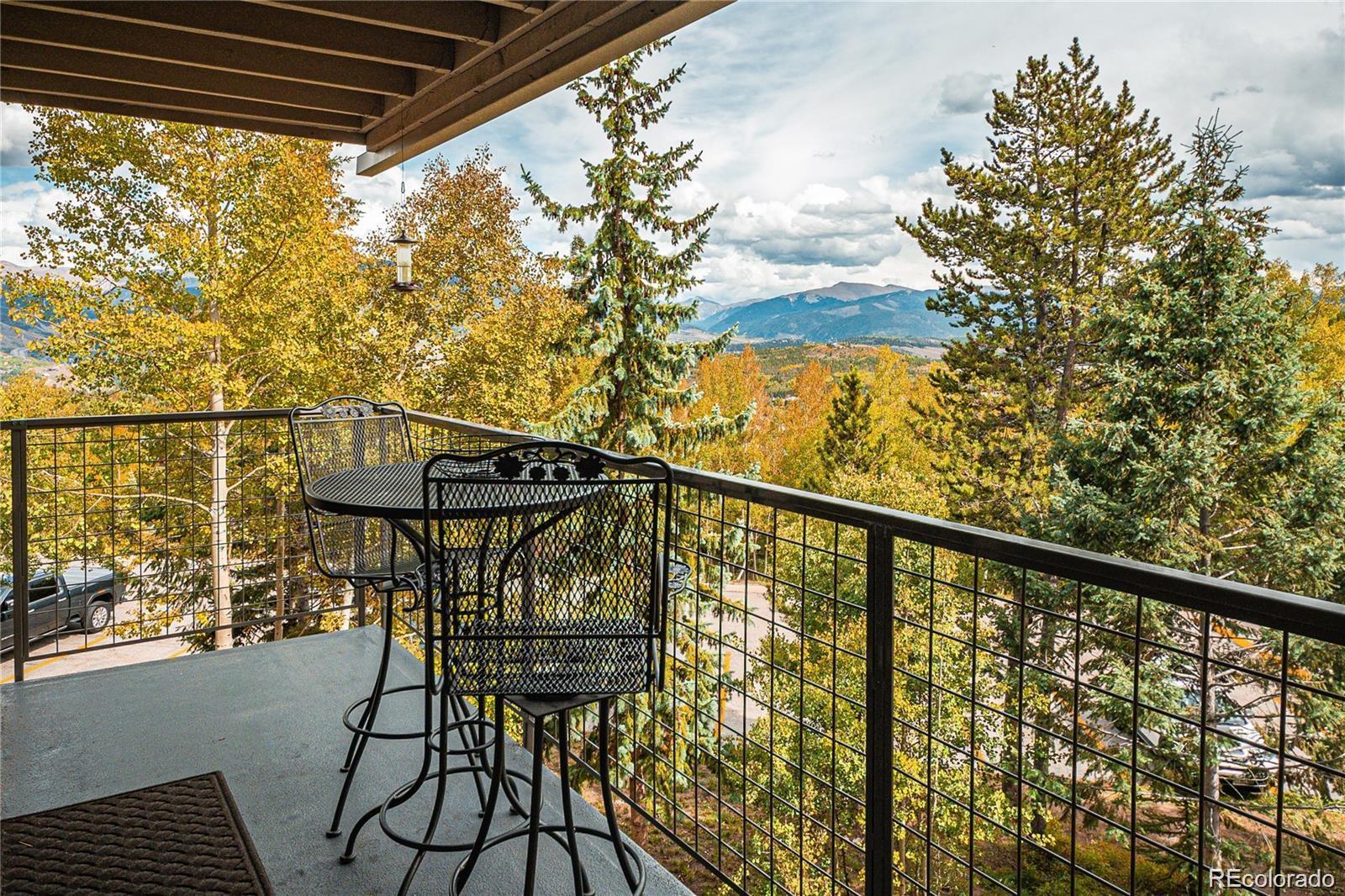 7222 Ryan Gulch Road 202, Silverthorne, CO, 80498 3 7222 Ryan Gulch Road 202