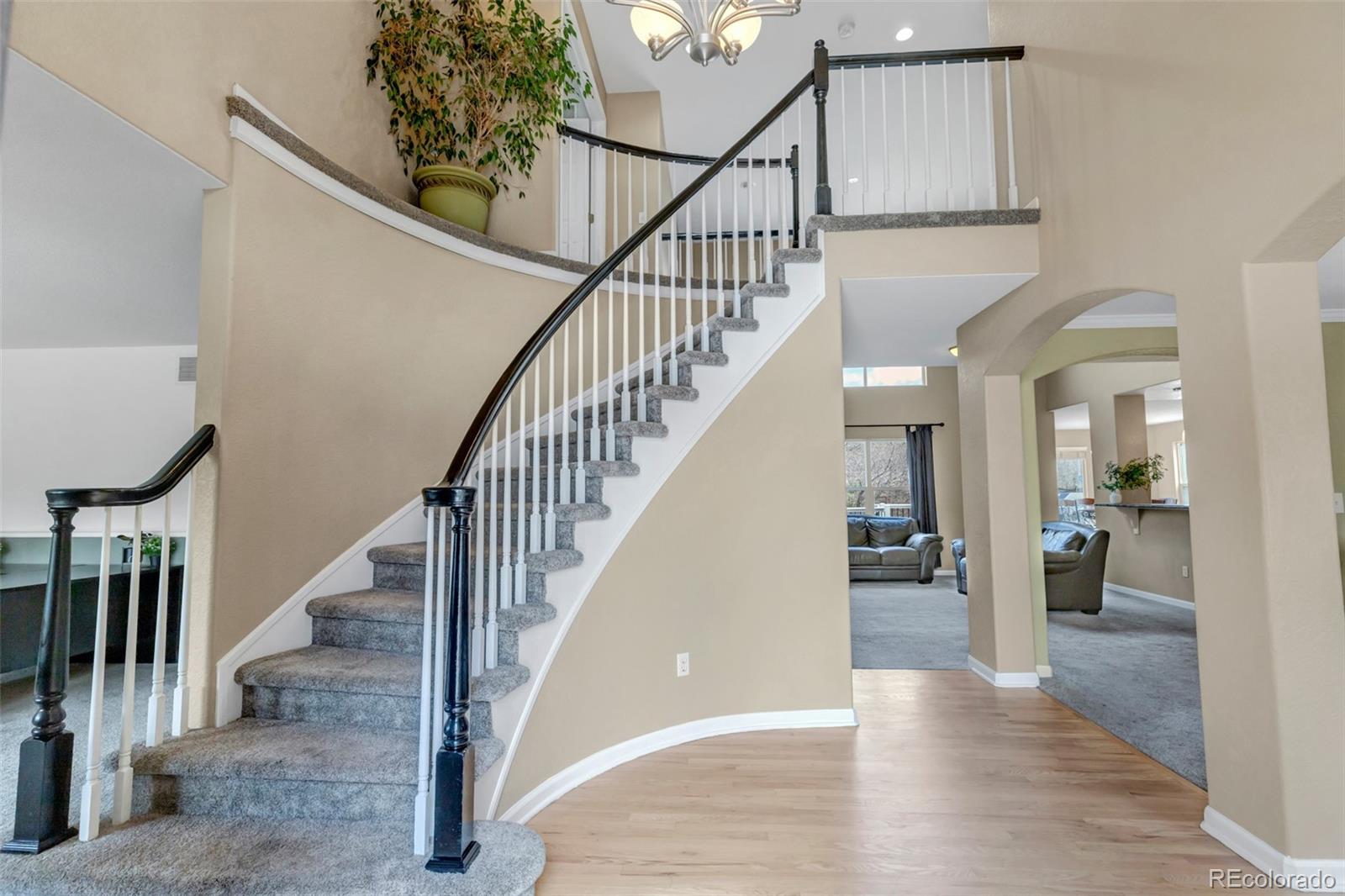 1645 Birchleaf Court