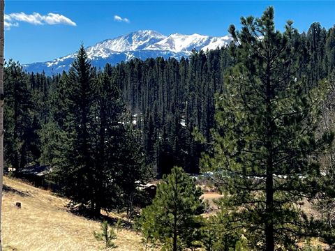 194 Rainbow Trail Divide CO 80814