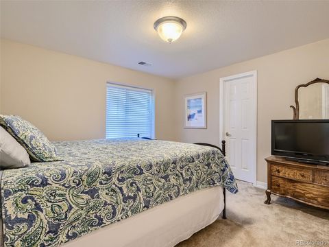 Single Family Residence in Highlands Ranch CO 10781 Lismore Way 29.jpg