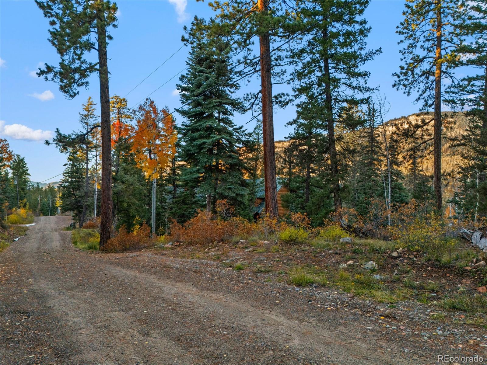 137 Ponderosa Way