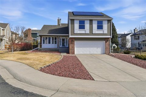 1847 Mountain Sage Place Highlands Ranch CO 80126