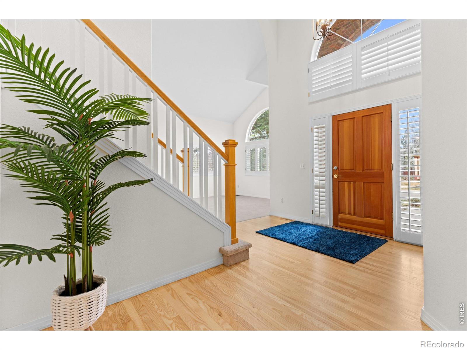 3726 Barbados Place