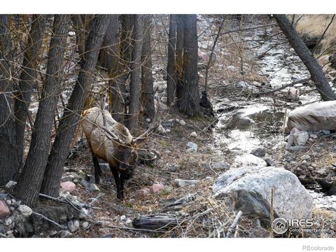 416 Black Creek Drive Glen Haven CO 80532