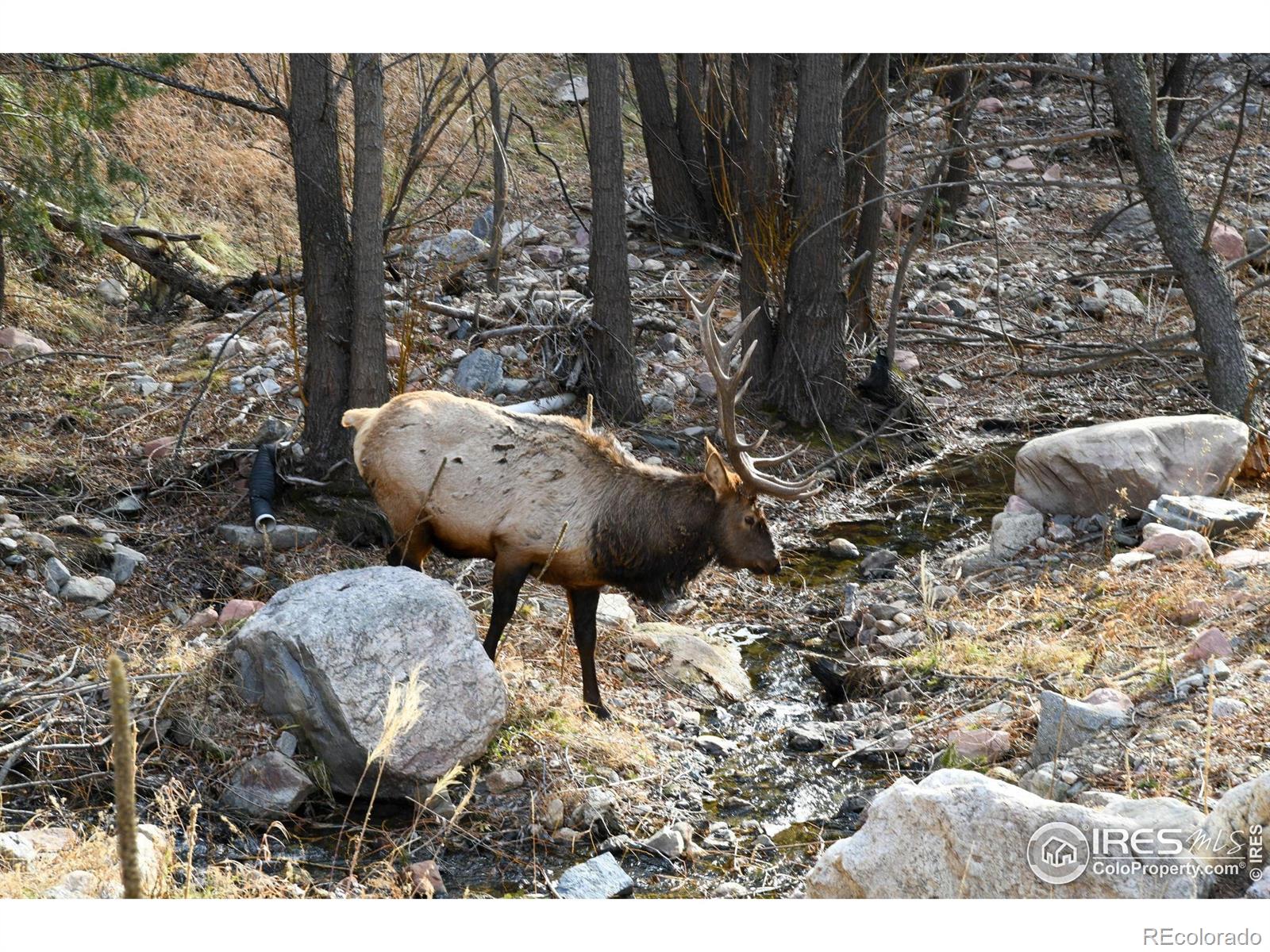 416 Black Creek Drive