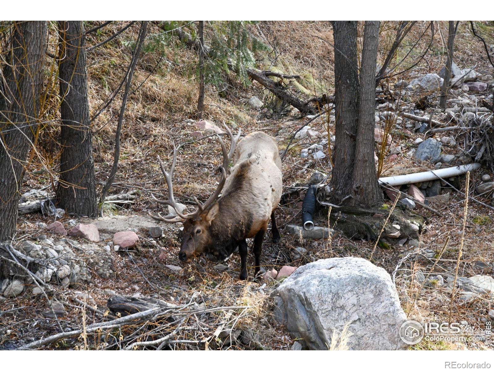 416 Black Creek Drive