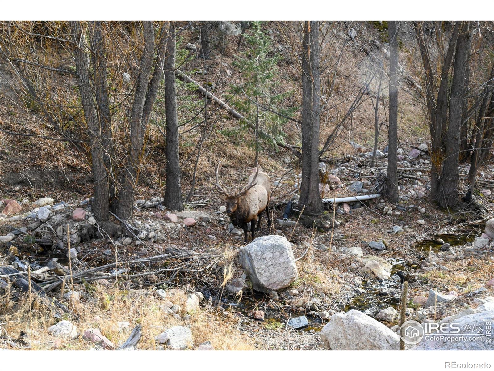 416 Black Creek Drive