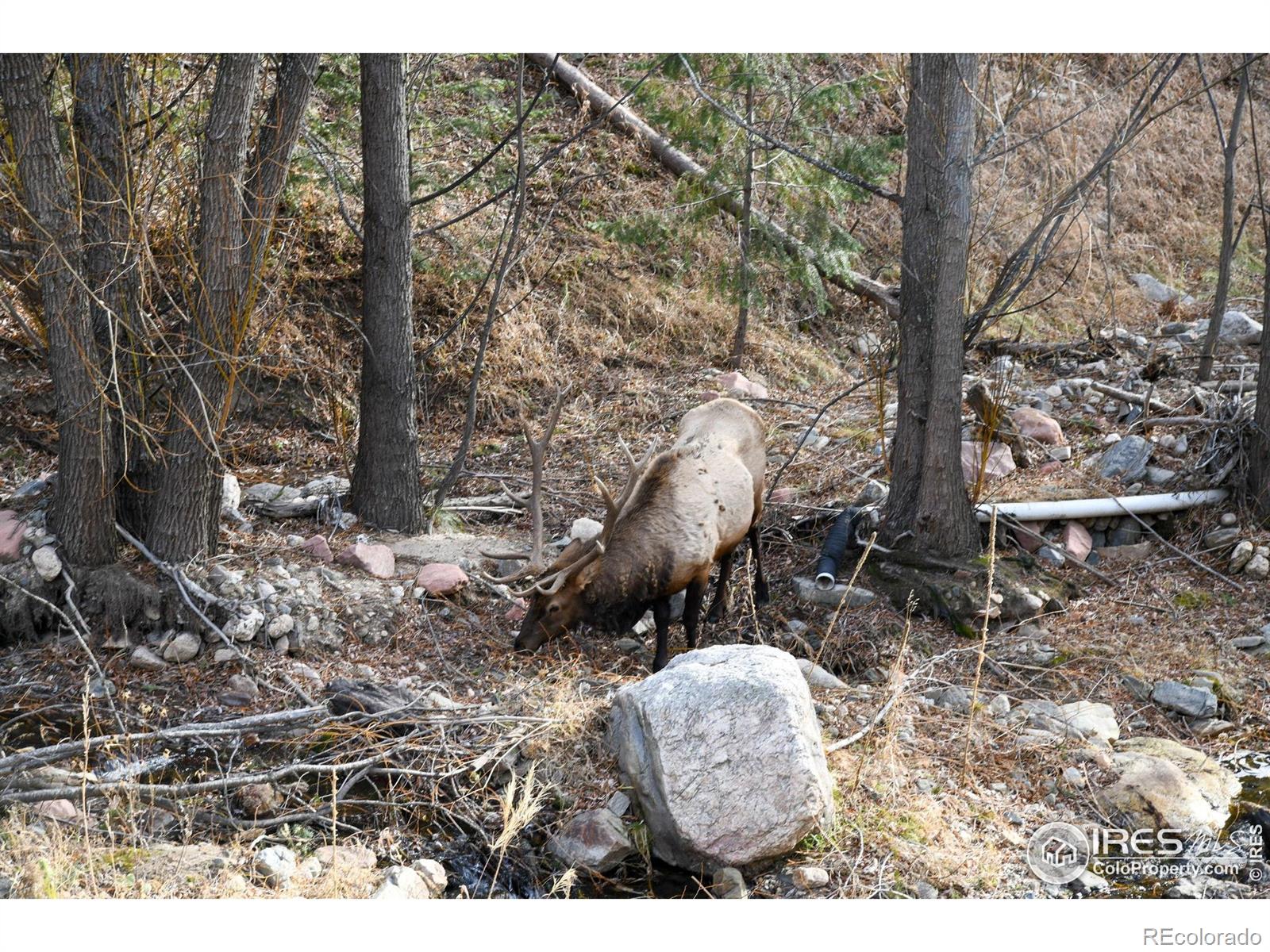 416 Black Creek Drive