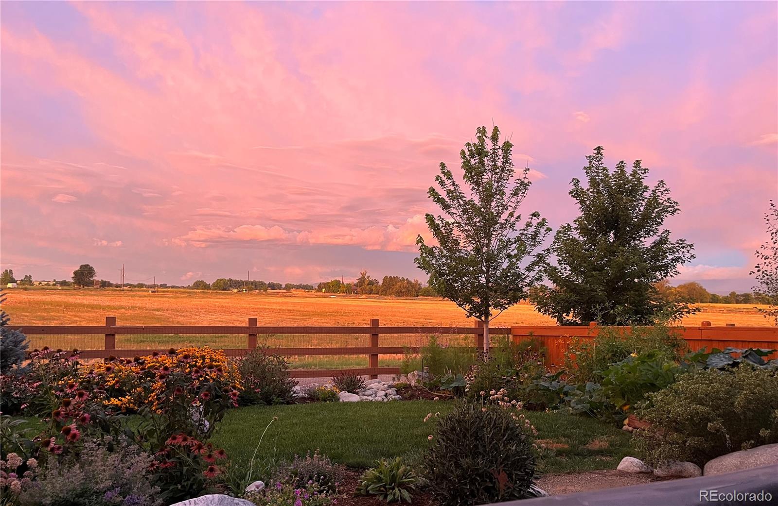 800 Meadowlark Drive