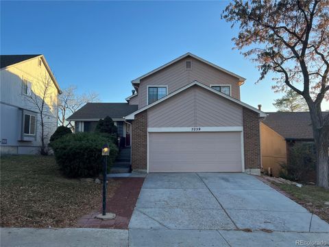 2259 W 118th Avenue, Westminster, CO 80234 - #: 8113904