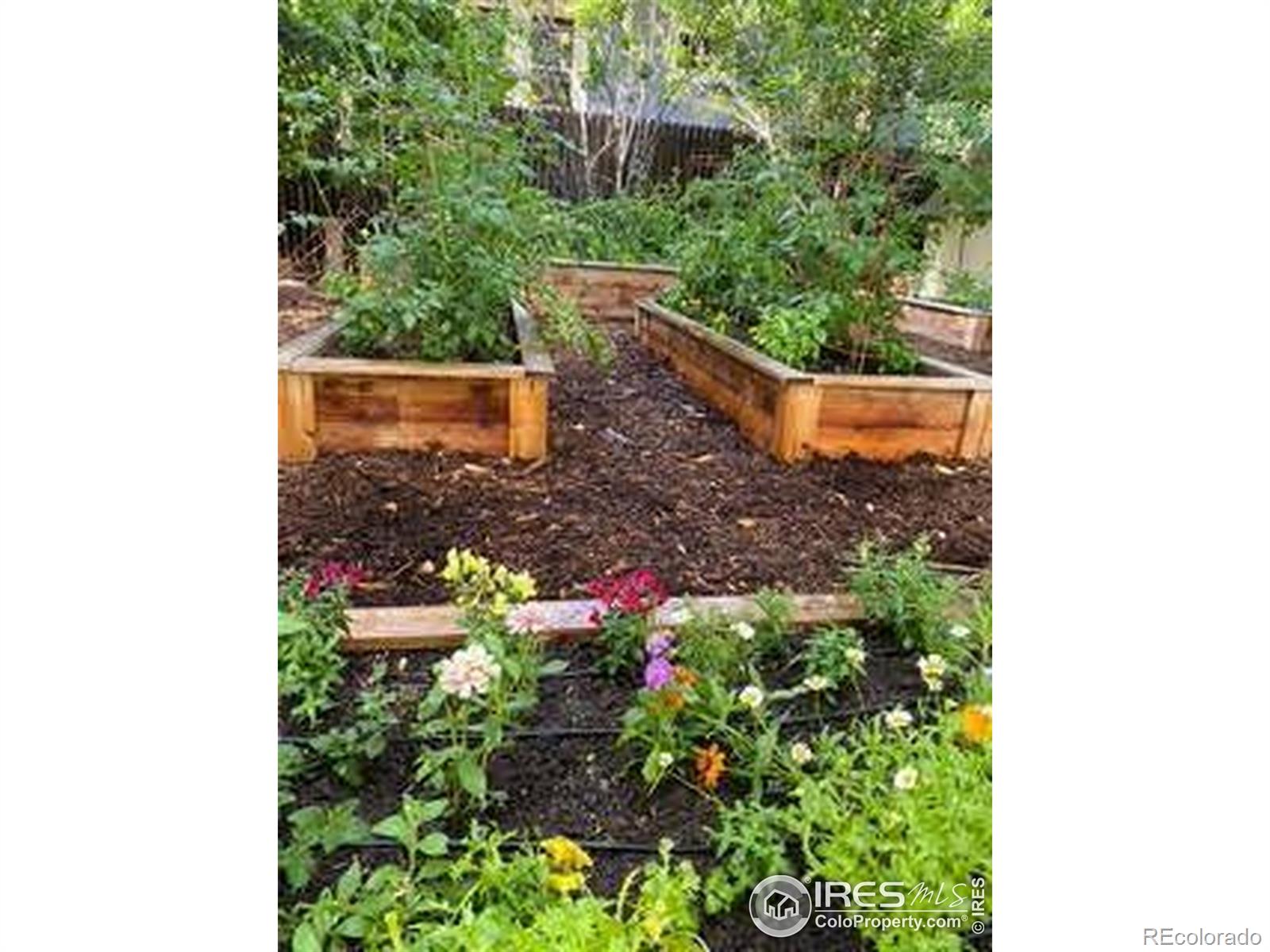 1230 W Mountain Avenue