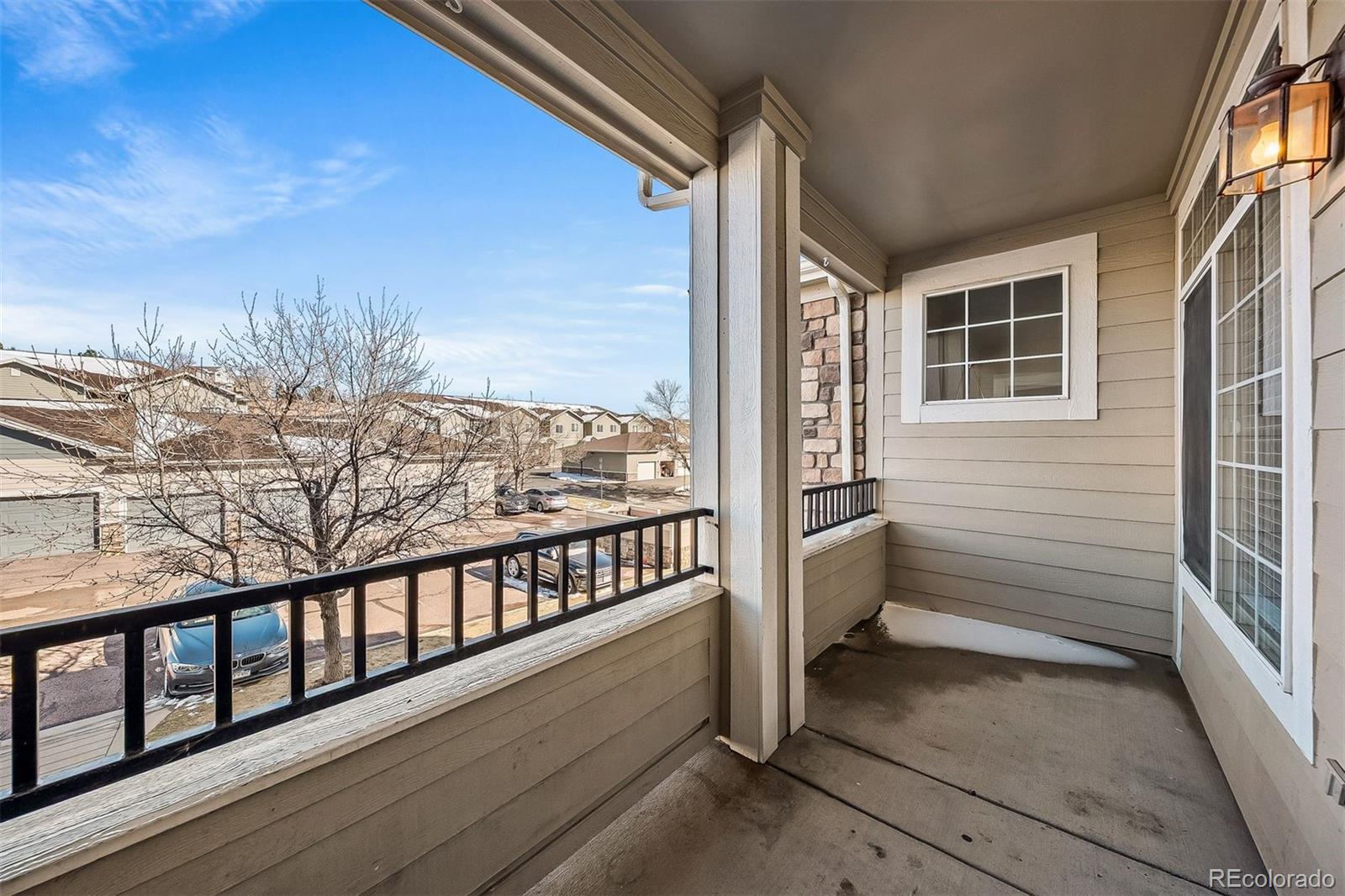 431 Black Feather Loop 813