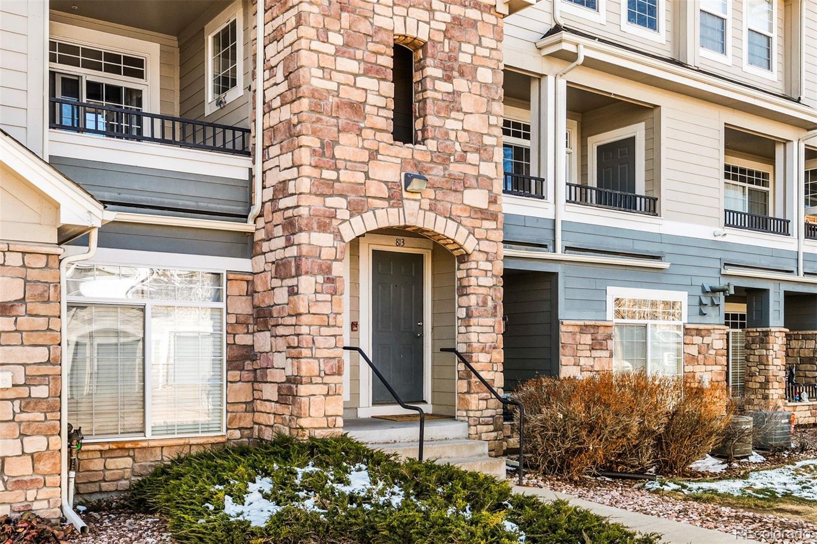 431 Black Feather Loop 813