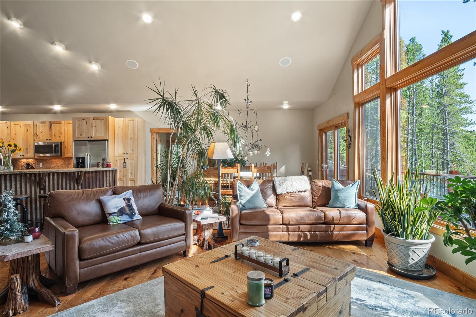314 Coronet Drive