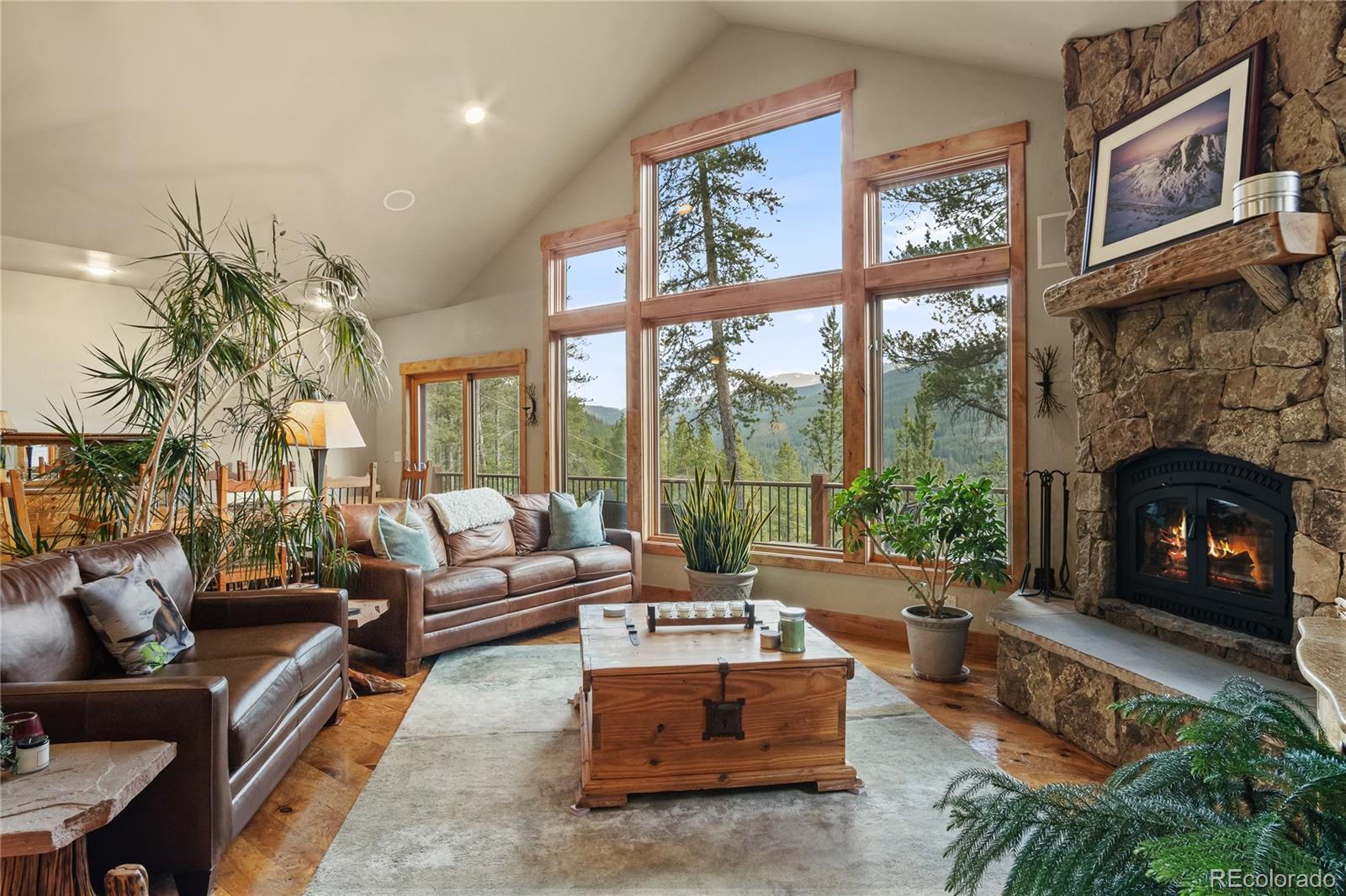 314 Coronet Drive