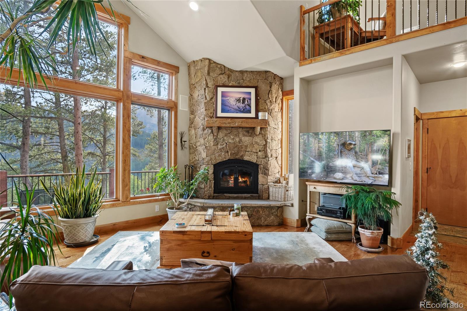 314 Coronet Drive